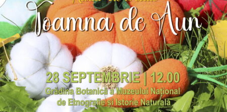 Atelierul de creație „Toamna de Aur”
