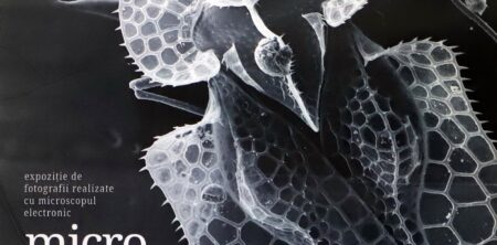Lansarea expoziției ”Microcosmos: natura văzută la microscopul electronic”