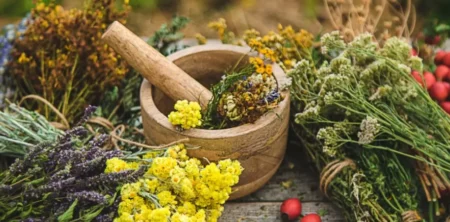 Masa rotundă „Utilizarea plantelor în medicina tradițională:  aspecte etnografice și practici actuale”