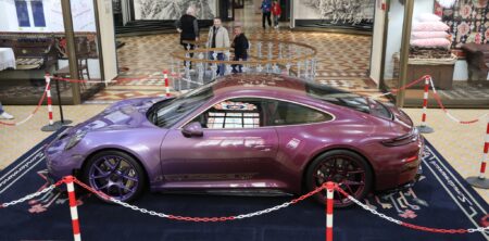 Porsche Sonderwunsch „Tree of Life” – unic în felul său